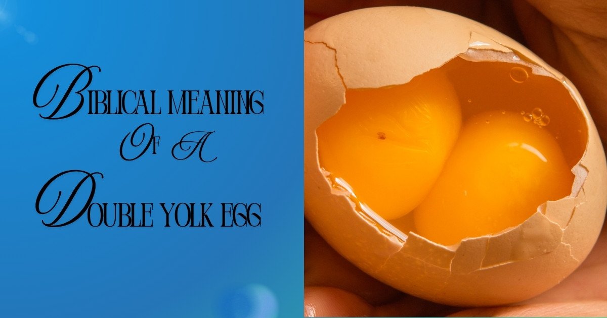 Biblical Meaning of a Double Yolk Egg