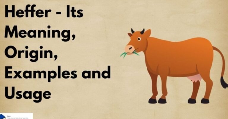 Heffer