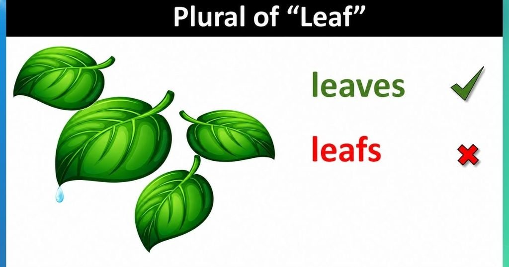 Leaf Plural Form